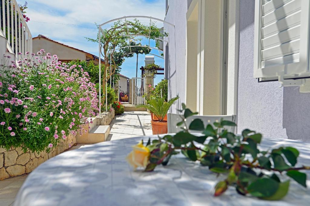 Apartment Viskovic Margita *